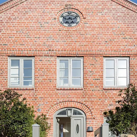 Austernfischer Vesterland