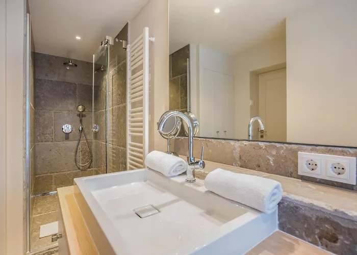 Austernfischer فيسترلاند