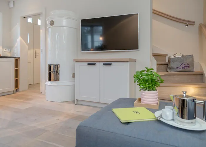 Austernfischer Lejlighed Vesterland