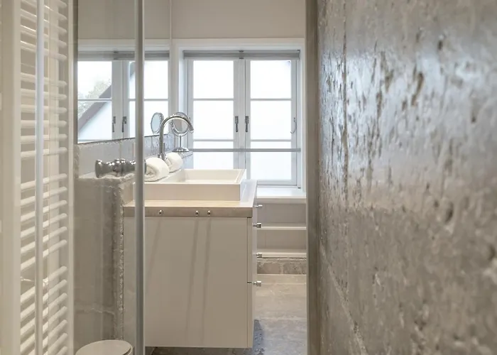 Austernfischer Vesterland