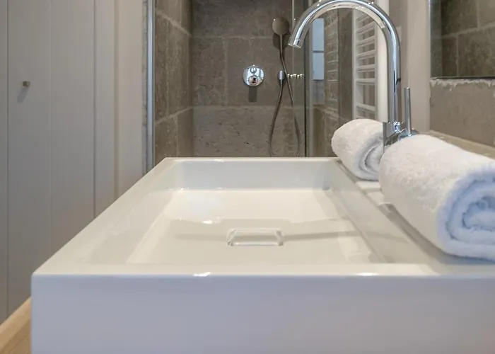 Austernfischer Lejlighed Vesterland