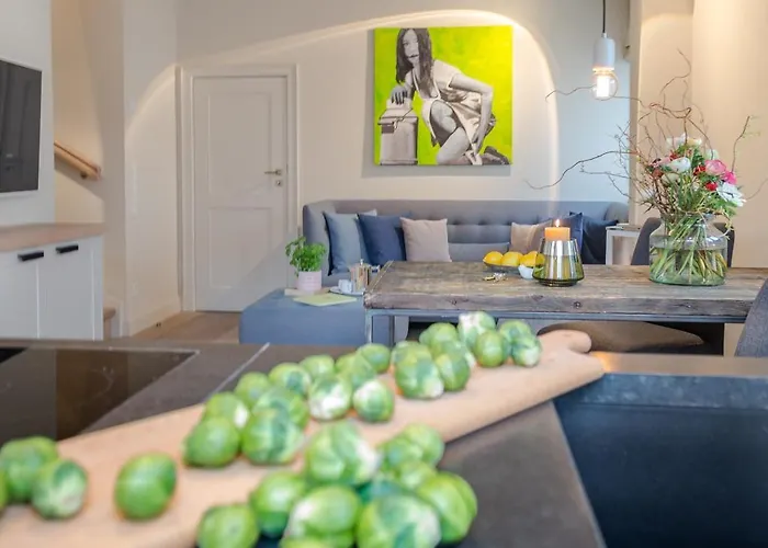 Austernfischer Vesterland