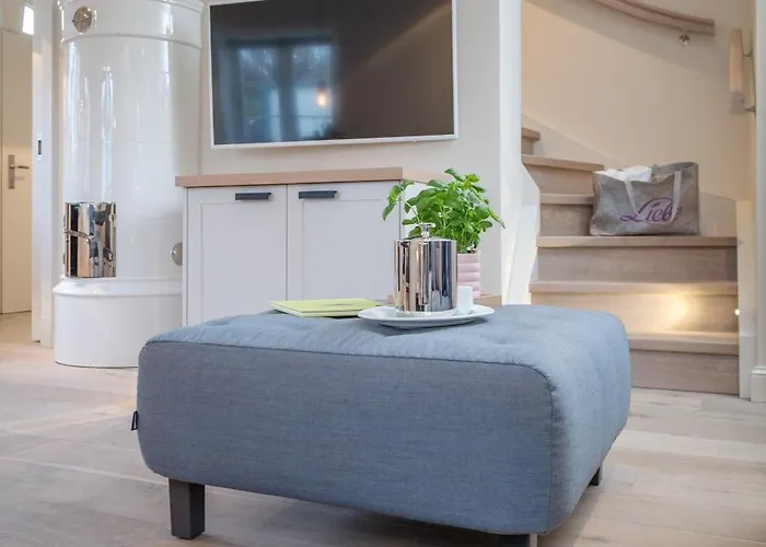 Austernfischer * Vesterland