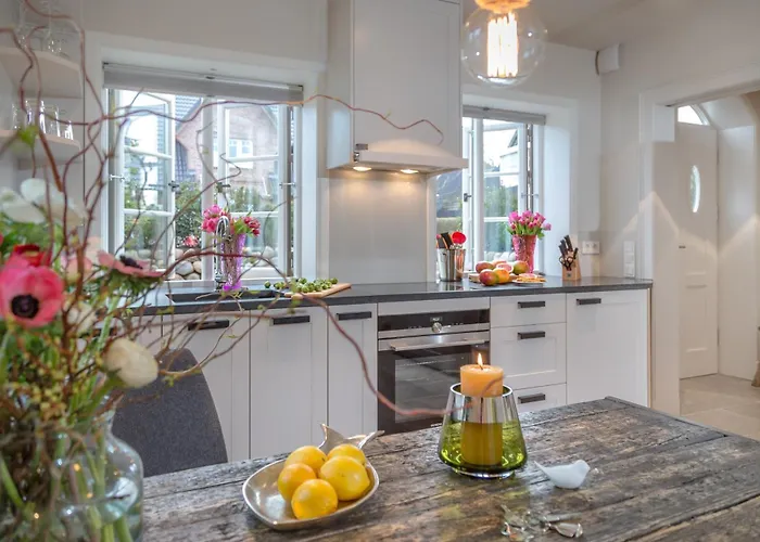 Austernfischer Vesterland