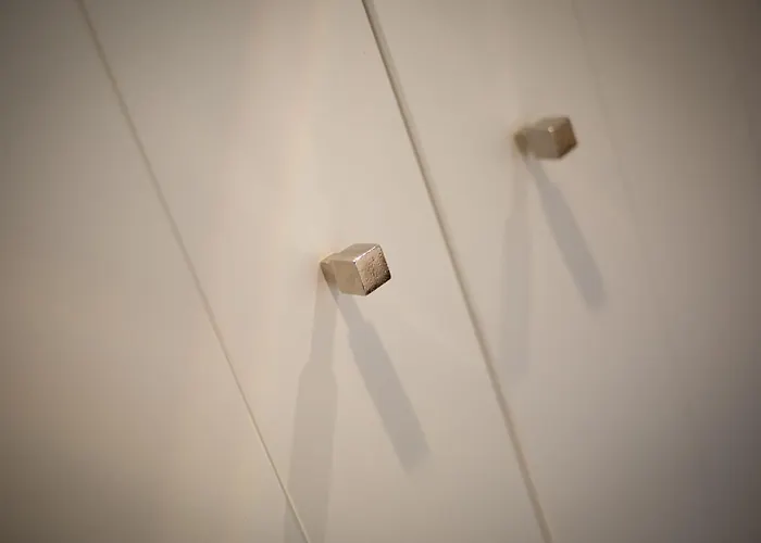 Austernfischer Vesterland