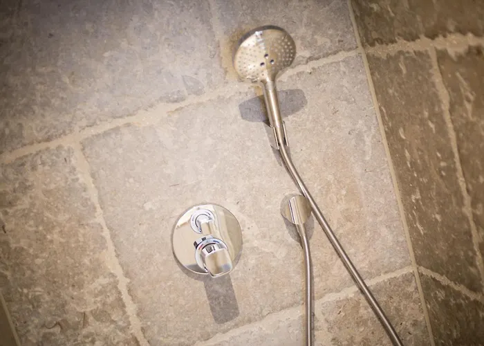 Austernfischer * فيسترلاند