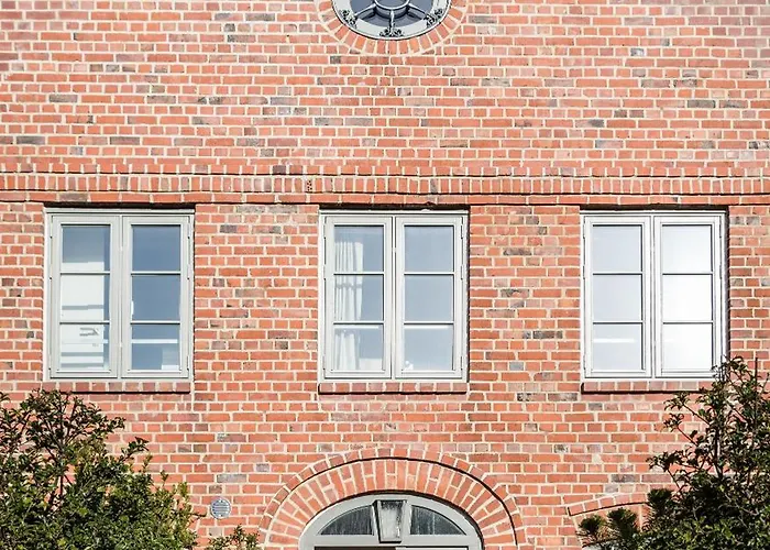 Austernfischer Vesterland